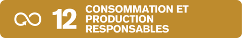 ODD 12 consommation et production responsables 