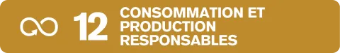 ODD 12 consommation et production responsables 