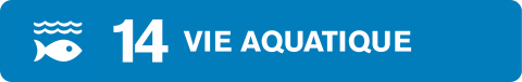 ODD 14 vie aquatique Clef Verte 