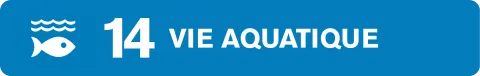ODD 14 vie aquatique Clef Verte 
