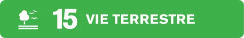 ODD 15 Vie terrestre Clef Verte 