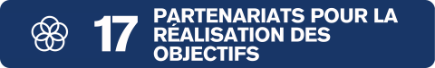 ODD 17 partenariats pour la réalisation des objectifs 