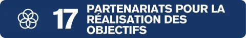 ODD 17 partenariats pour la réalisation des objectifs 