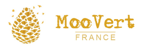 Moovert