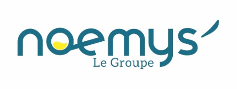 Logo Noemys Clef Verte 